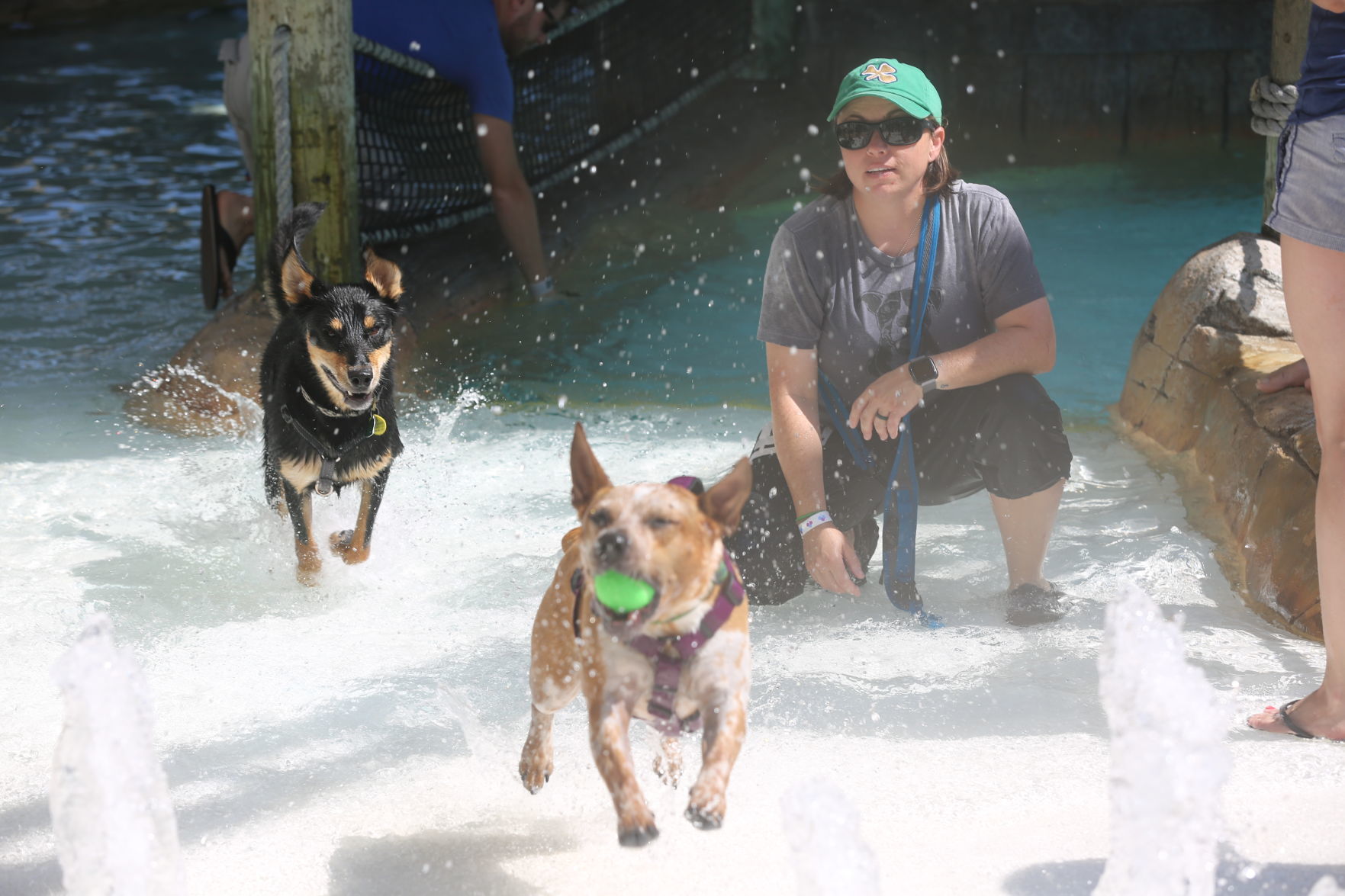 090919_gal_WWdogs (2)